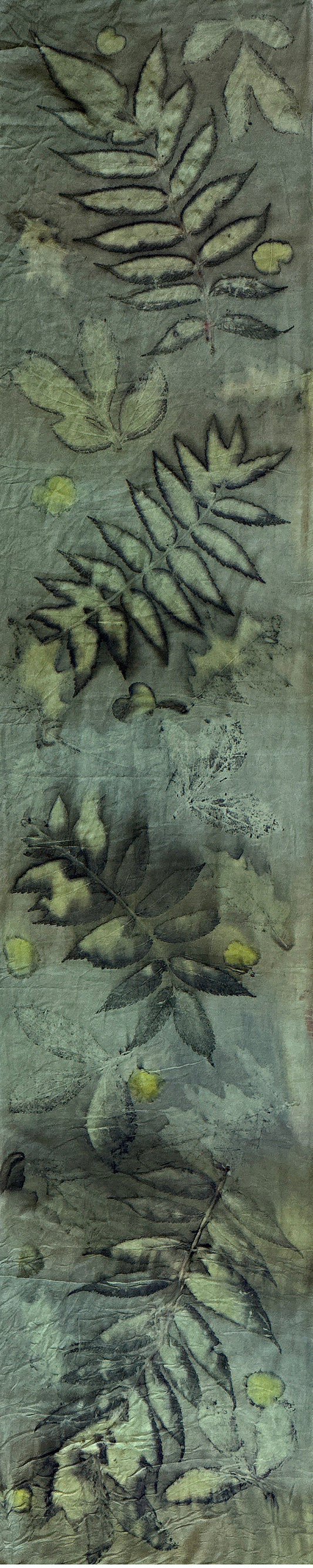 Hand printed botanical medium long silk scarf 14 x 70" #045